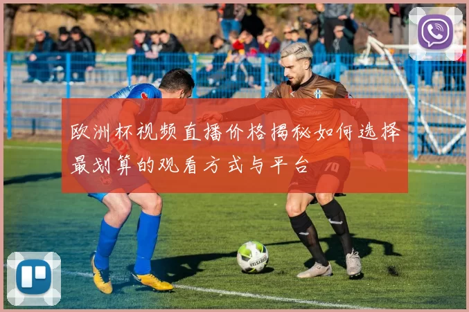 欧洲杯视频直播价格揭秘如何选择最划算的观看方式与平台